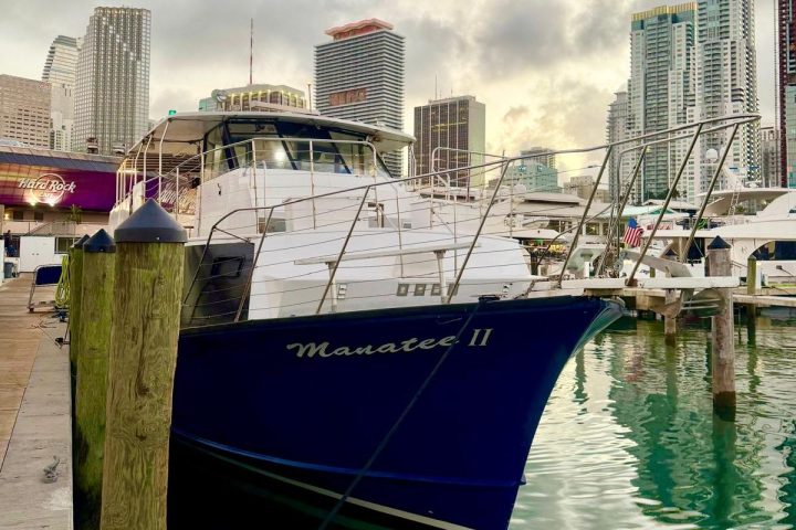 Blue yacht named 'Manatee II' docked at a marina with city skyline in the background.