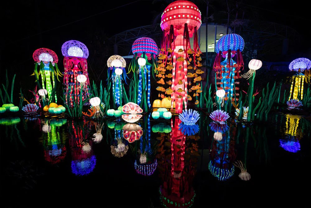 The Luminosa Festival of Lights in Miami a lit up city at night