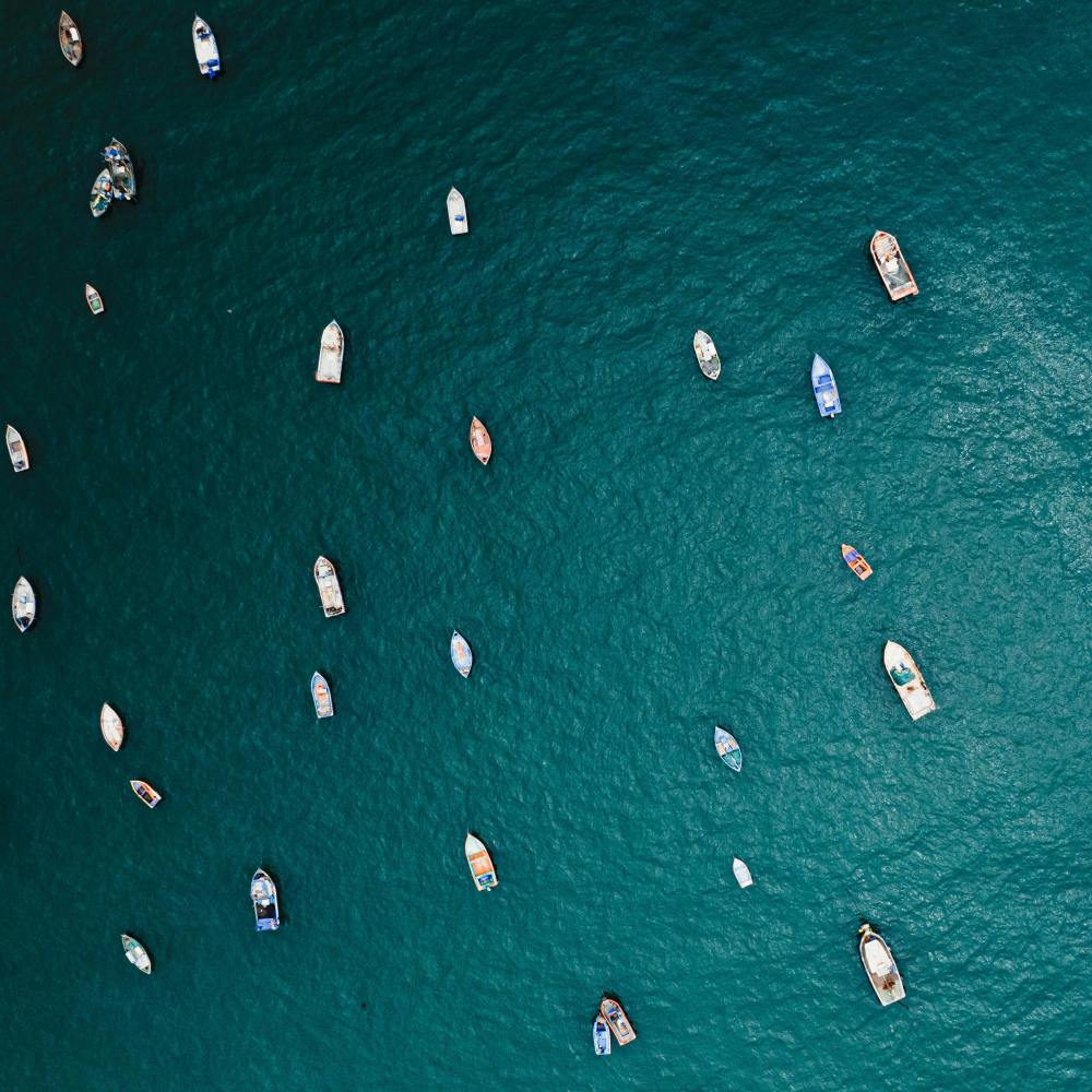 Experience The Magic Of The Winterfest Boat Parade In Fort Lauderdale