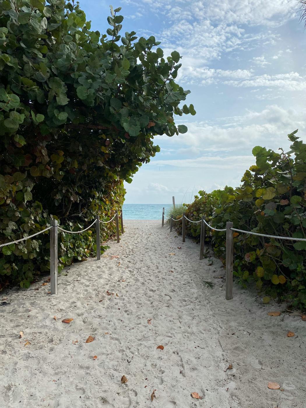 Top Family-Friendly Activities In Miami: Visit Miami Seaquarium, Jungle