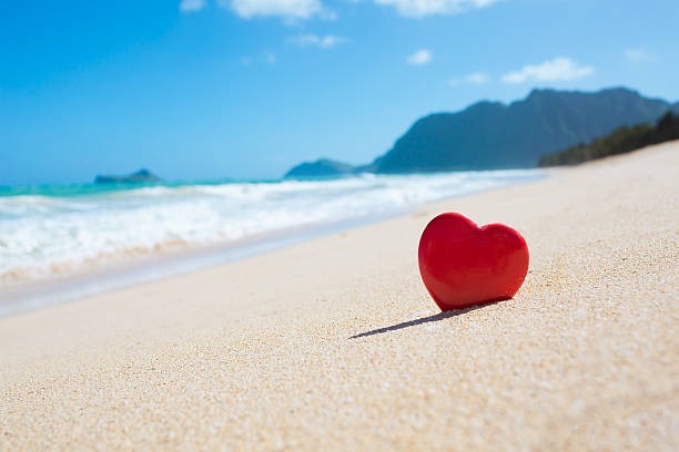 a sandy beach next to a body of water