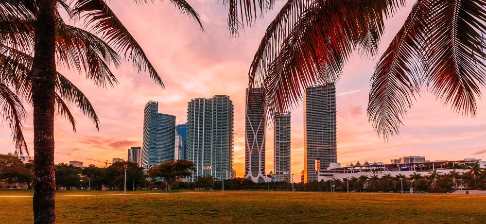 Skyscrapers at sunset framed by palm trees in a city park.