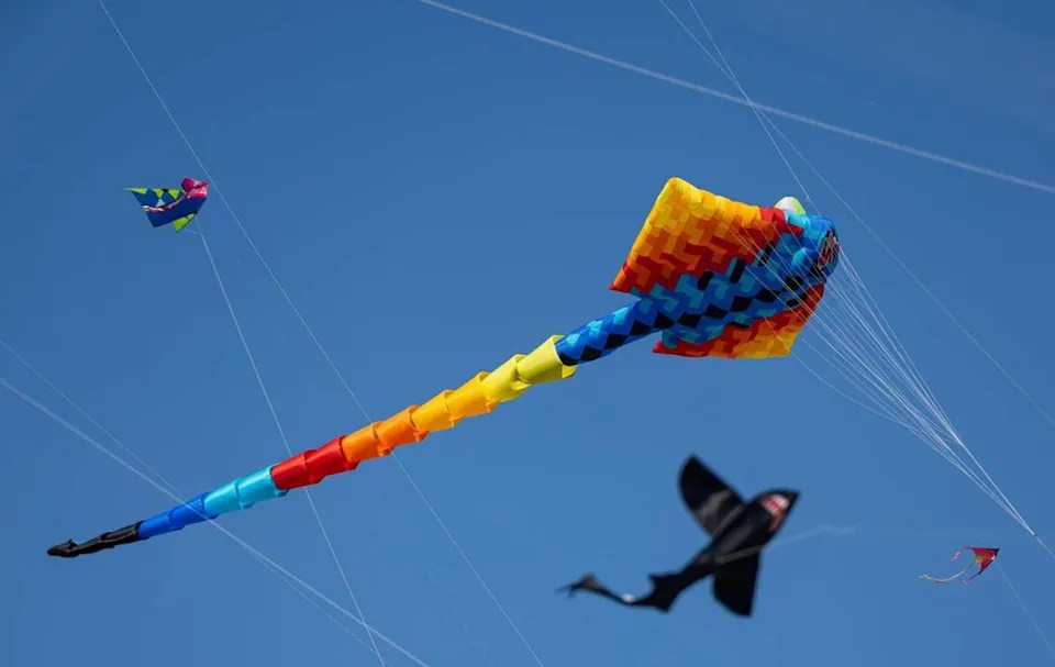 Colorful kites flying against a clear blue sky, with a large, multicolored kite in the center.