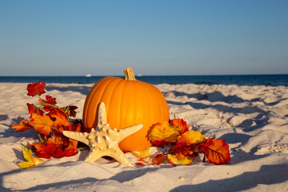 Pumpkin, starfish, and autumn leaves on sandy beach with ocean in background.