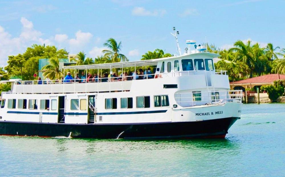 A white passenger ferry on a sunny day with palm trees in the background.