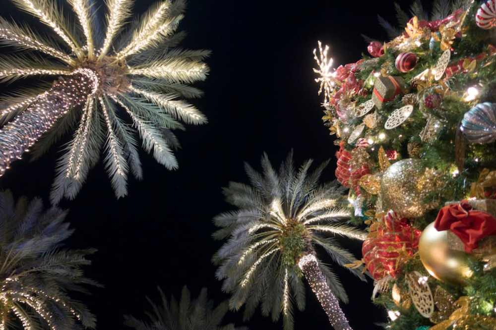 Palm trees and a Christmas tree decorated with lights and ornaments at night.