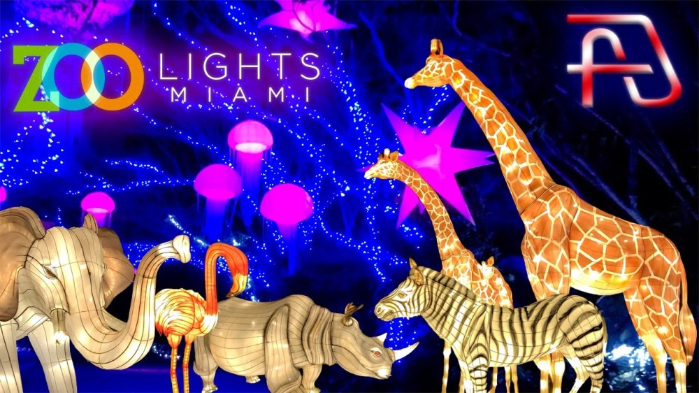 Zoo Miami Lights display with illuminated giraffes, zebras, and trees.