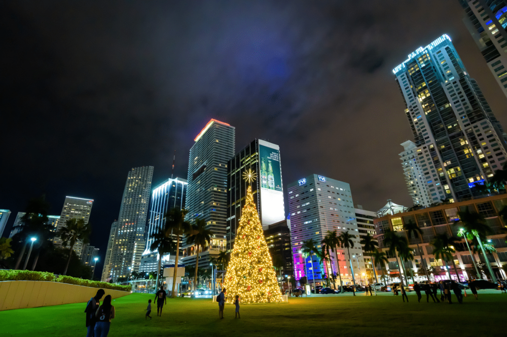 City skyline at night with a large Christmas tree and people in a park.