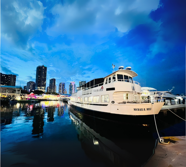 A docked white ship with city skyline and cloudy sky in the background during twilight.