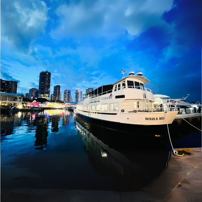 A docked white ship with city skyline and cloudy sky in the background during twilight.