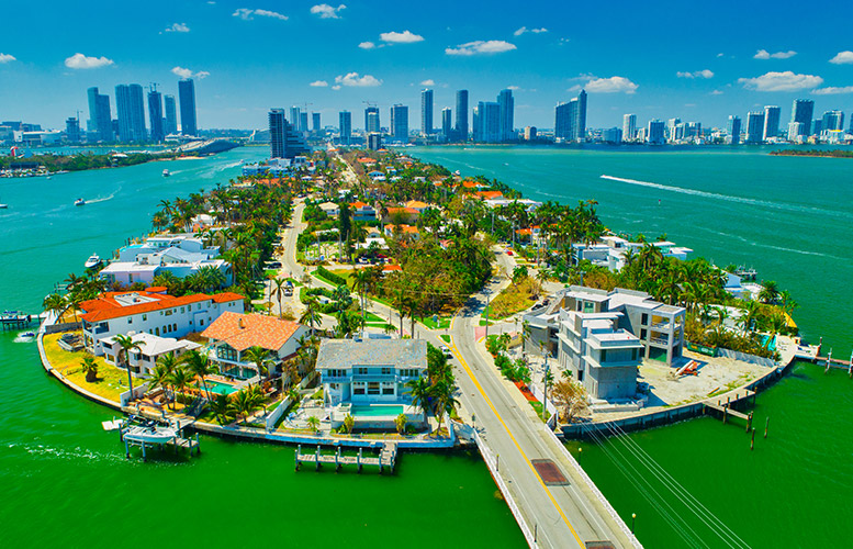 Complete Miami Guide For January: Plans Secrets And Experiences