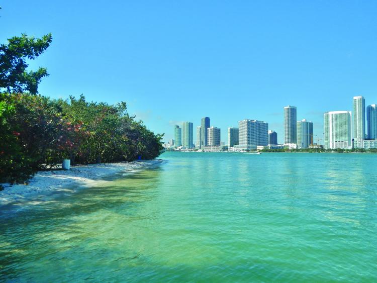 City skyline seen from a sandy riverbank with trees and calm water under a clear blue sky.