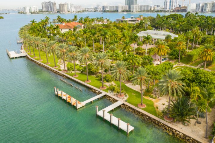 Aerial view of palm-lined waterfront estate with dock and lush greenery, overlooking a bay and distant city skyline.