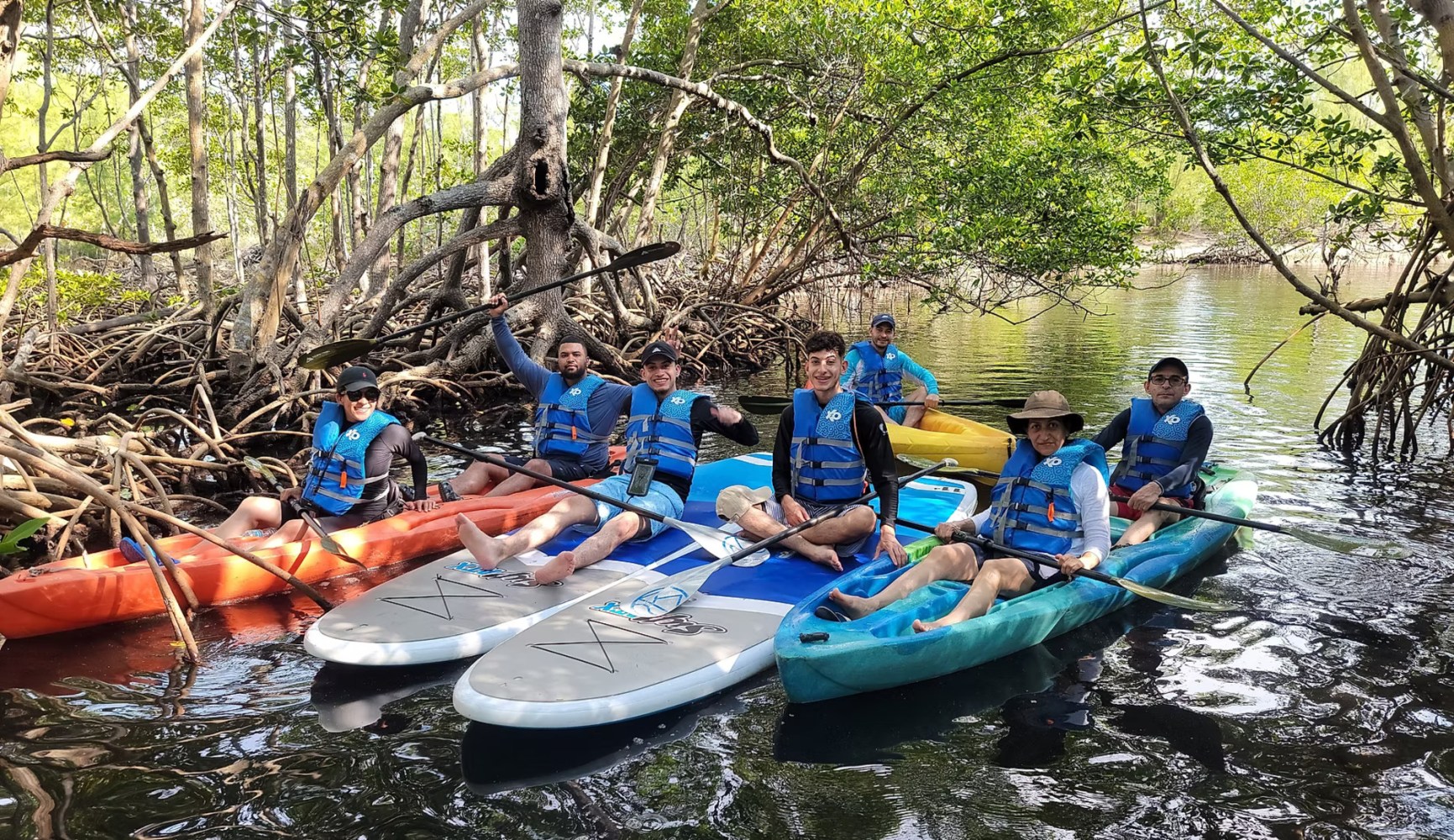 Group of people kayaking and paddleboarding in mangroves.