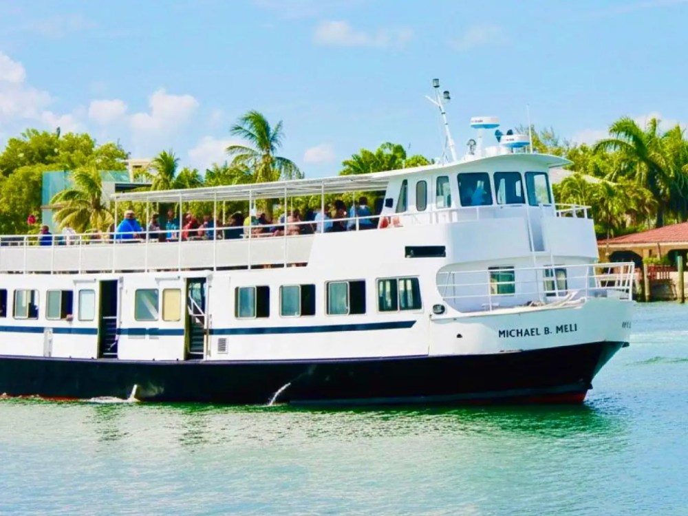 White ferry boat on water with palm trees in the background.